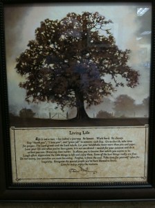 Life in not a race but indeed a journey