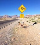 1374131_10153290519555068_677821528_n