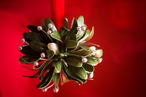 Under the Mistletoe! XL