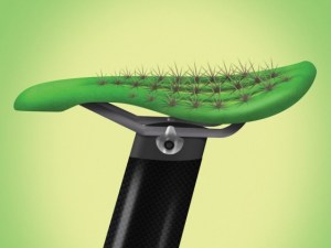 If you haven't been on a bike since you were 12 or you're attempting a century ride - or ANY ride for that matter - do yourself the favor of buying the biggest tube of  chamois butt'r around and apply liberally to your private area. Seriously, every single spot, crack and crevice. 